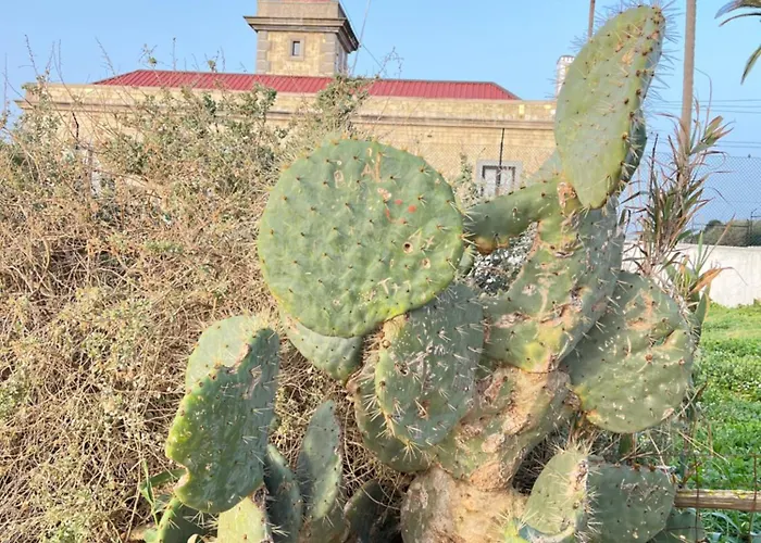 Casa Sam Daire Lagos